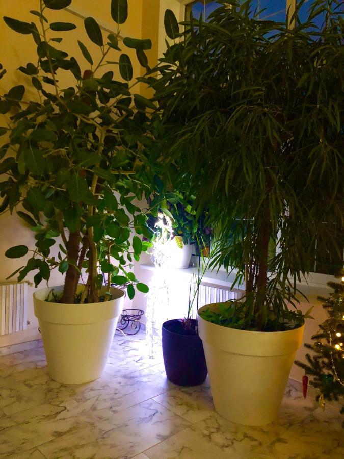 The Gardenapartments Odessa Dış mekan fotoğraf